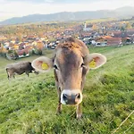 Herzland Allgaeu Mit Grossem Garten Und Gemuetlichem Kaminfeuer Inklusive Koenigscard, Skipass, Bergbahn, Therme Inkl Lechbruck