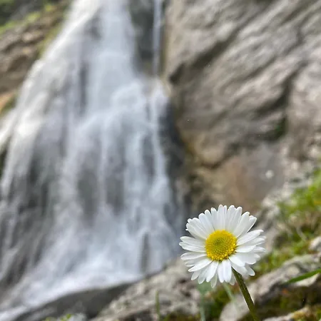 Дом отдыха Herzland Allgaeu Mit Grossem Garten Und Gemuetlichem Kaminfeuer Inklusive Koenigscard, Skipass, Bergbahn, Therme Inkl Лехбрук