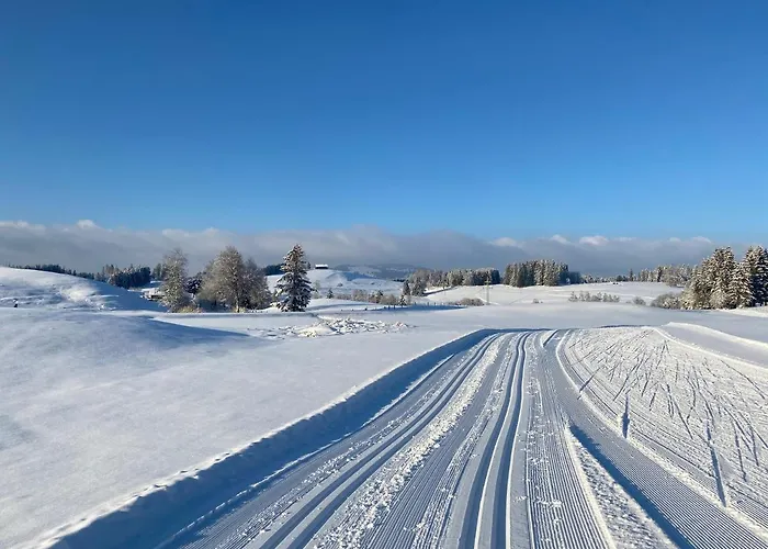 Herzland Allgaeu Mit Grossem Garten Und Gemuetlichem Kaminfeuer Inklusive Koenigscard, Skipass, Bergbahn, Therme Inkl Lechbruck