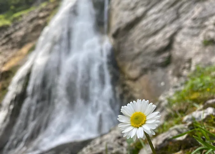 Casa vacanze Herzland Allgaeu Mit Grossem Garten Und Gemuetlichem Kaminfeuer Inklusive Koenigscard, Skipass, Bergbahn, Therme Inkl Lechbruck