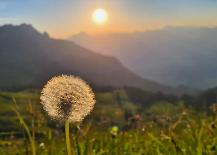 Herzland Allgaeu Mit Grossem Garten Und Gemuetlichem Kaminfeuer Inklusive Koenigscard, Skipass, Bergbahn, Therme Inkl Lechbruck