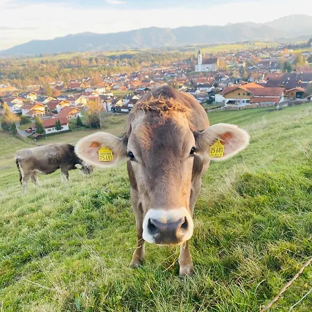 Herzland Allgäu: Cozy Retreat With Garden, Fireplace & Königscard Lechbruck