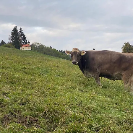 Holiday home Herzland Allgäu: Cozy Retreat With Garden, Fireplace & Königscard